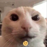 MaxPowerYT's Avatar'