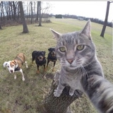 ToonNinja_'s Avatar'